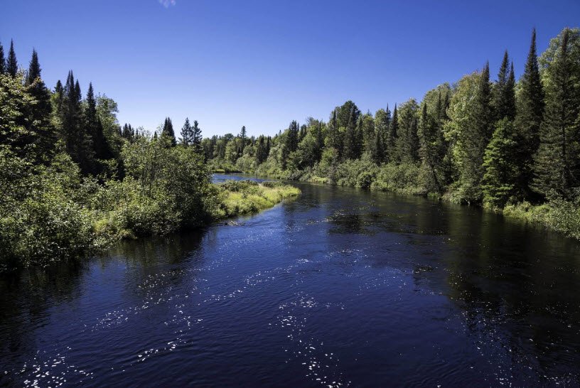 Van Riper State Park, Michigan, USA